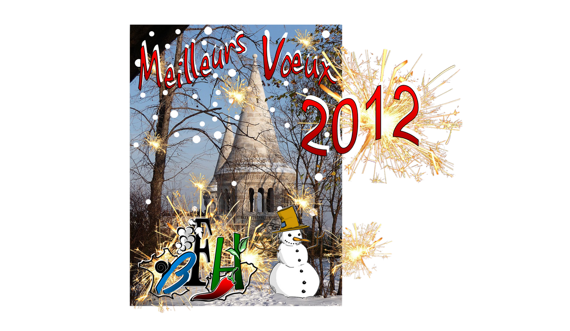 carte voeux