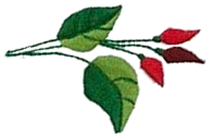 fleur